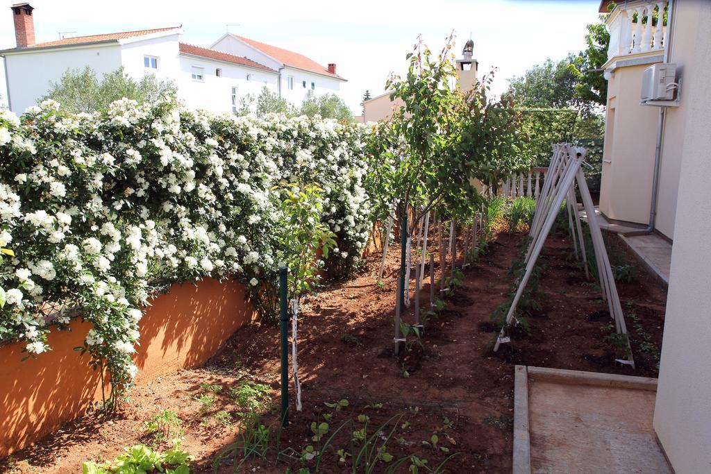 Apartments Kata Biograd Na Moru Exteriér fotografie